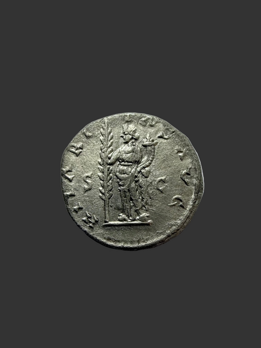 Pescennius Niger AR Denarius, AD 193–194 — NGC Ch XF