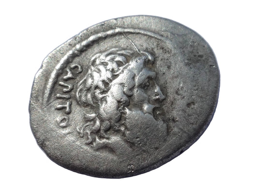Petillius Capitolinus. 41 BC. AR Denarius. 2.89g/18.5mm