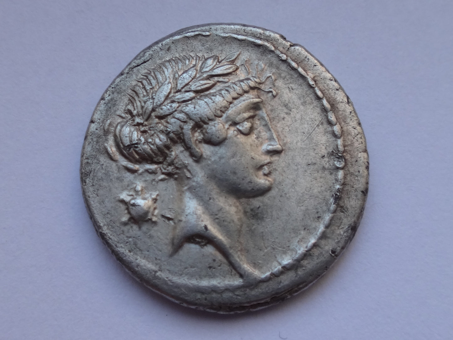 NGC "XF" 5/5- 3/5 Q.Pomp. Musa, c.66/56 BC Roman Republic AR Denarius