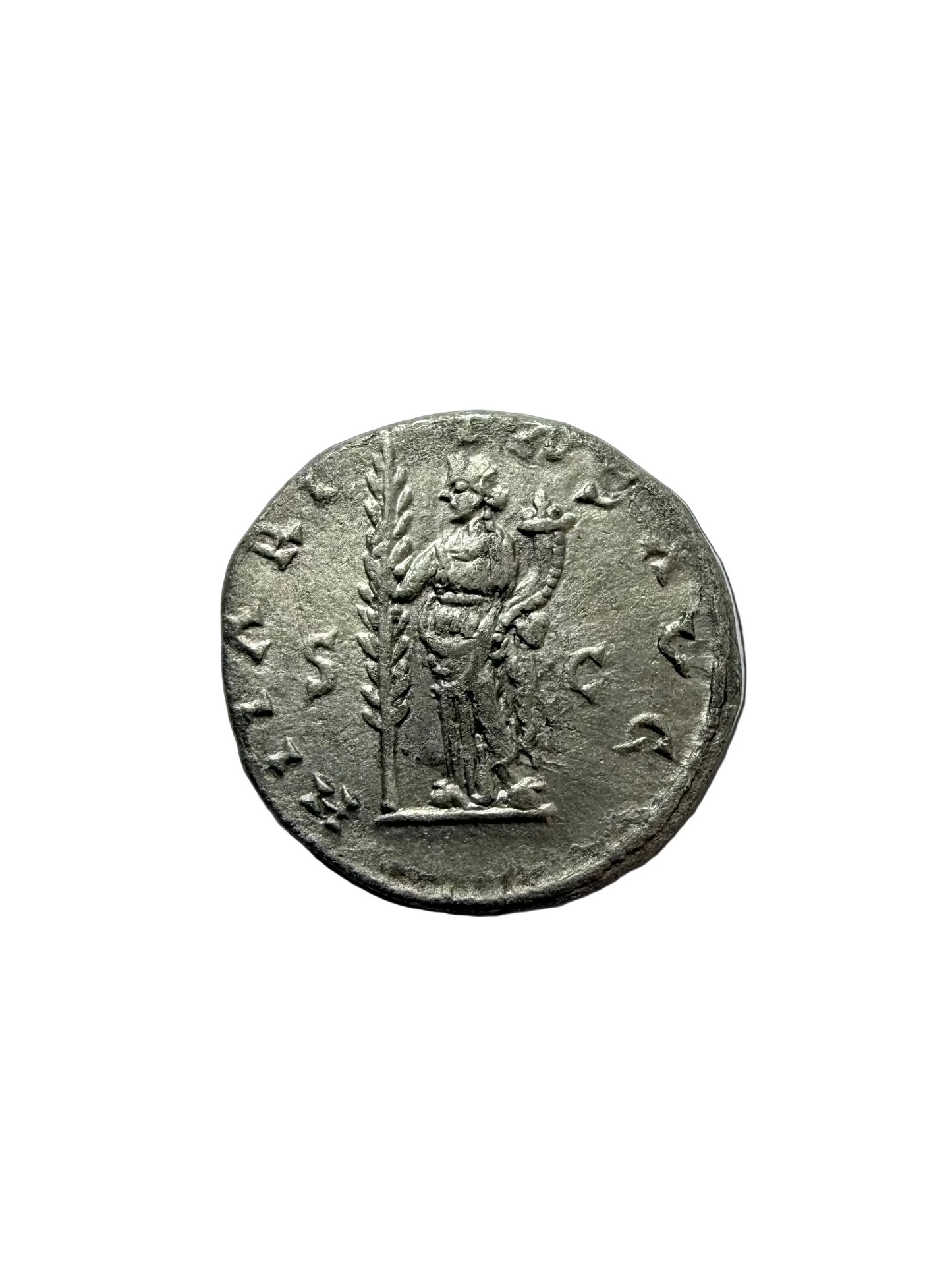 NGC "Ch XF" 5/5-3/5 Pescennius Niger (AD 193-194). AR Denarius, Extremely Rare!
