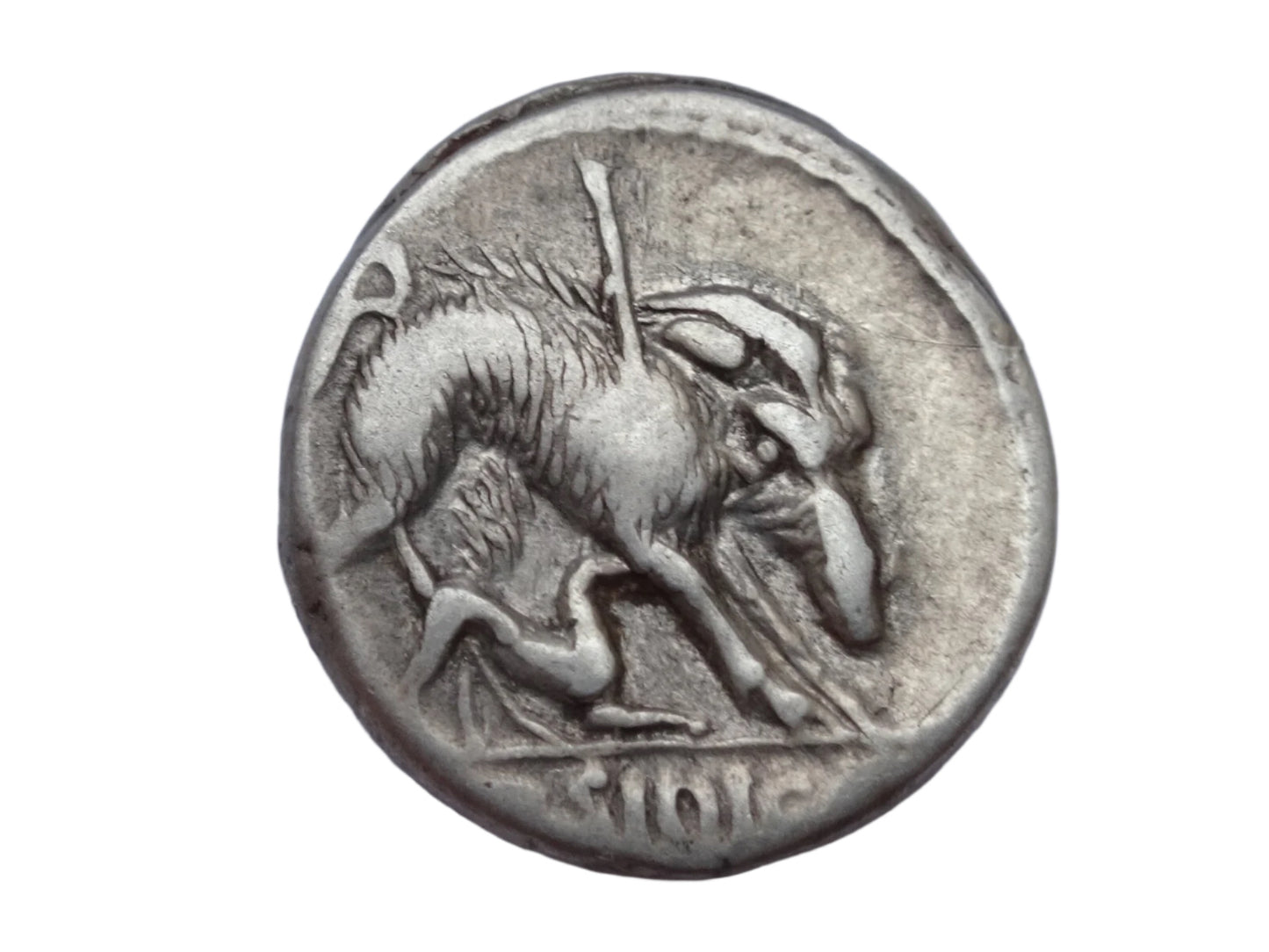 C. Hosidius C.f. Geta. 64 BC. AR Denarius