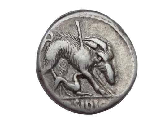 C. Hosidius C.f. Geta. 64 BC. AR Denarius
