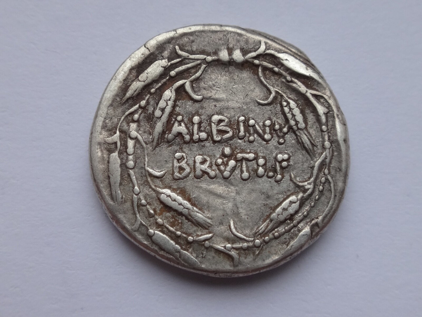 Roman Republic. Albinus Bruti f. 48 BC. AR Denarius. Rome mint.
