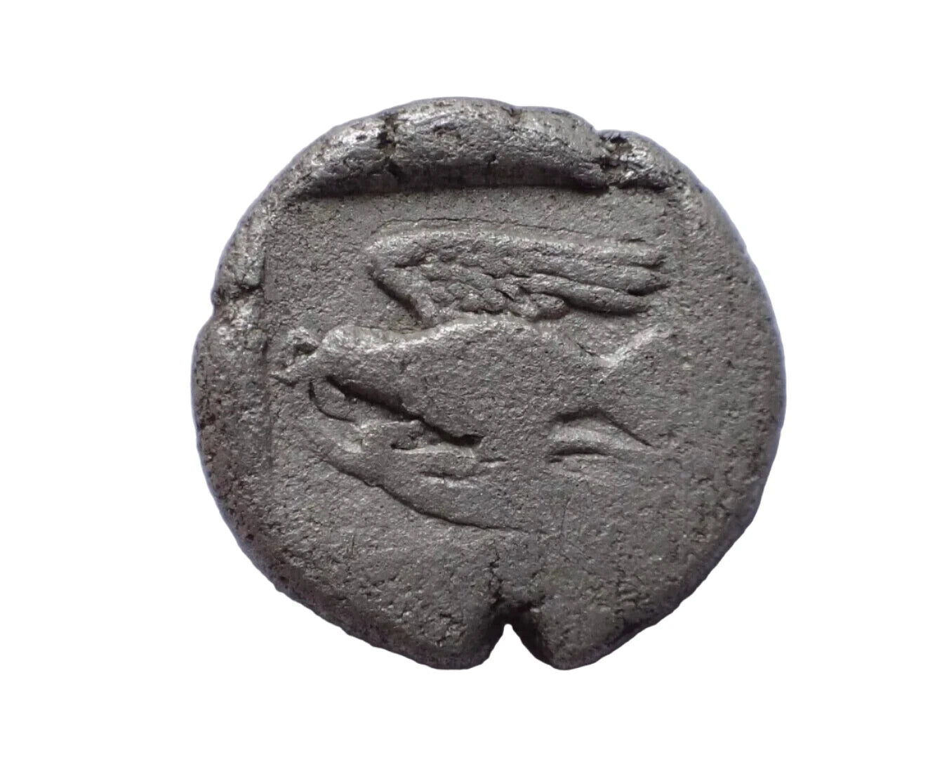Kings of Thrace Sparadokos (Circa 450-440 BC) Rare!. Diobol