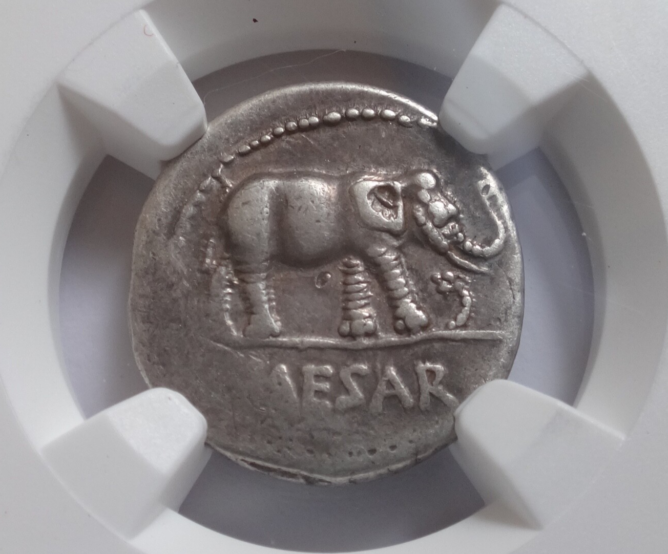 NGC Ch VF 4/5- 3/5 Julius Caesar, d.44 BC Roman Imperatorial  AR Denarius