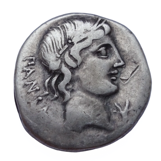 Roman Republic C. Vibius C. f. Pansa, 90 BC. AR Denarius. Rome mint.