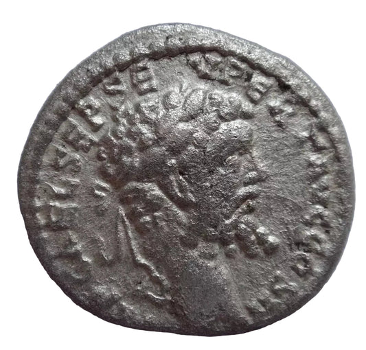Septimius Severus AR Denarius, Emesa, AD 193–211