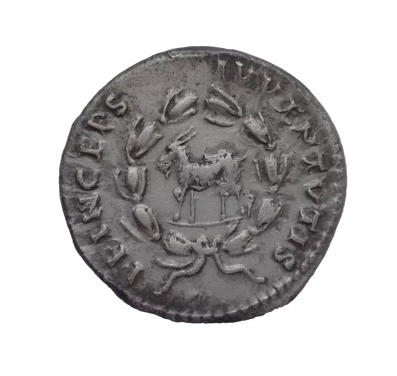 Domitian, as Caesar, 69-81. AR. Denarius.